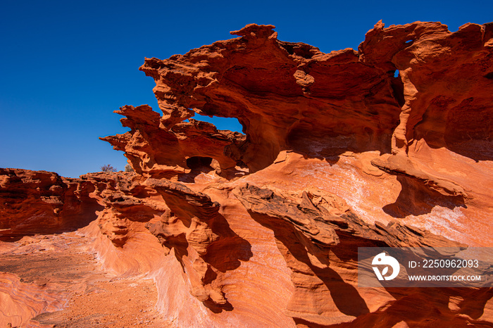 Little Finland, Nevada. Also know as Devils Fire or Hobgoblin Playground.  A collection of amazing,