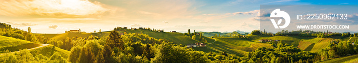 奥地利施蒂利亚州南部葡萄园山丘全景。托斯卡纳式的游览之地。