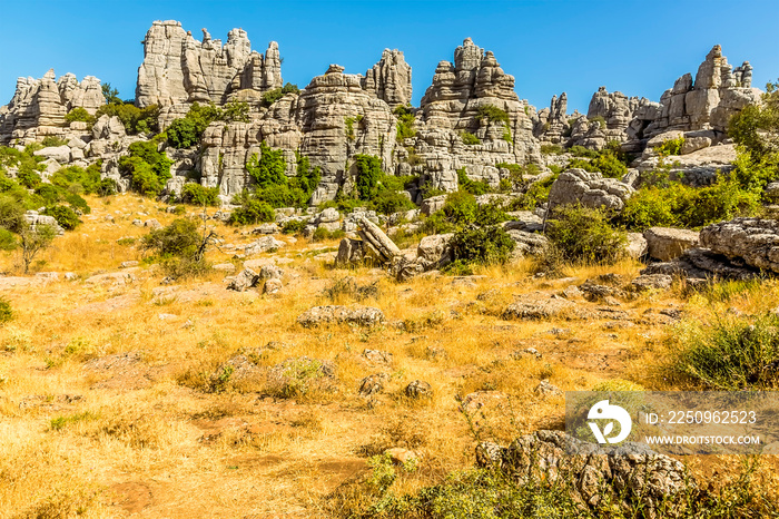 A view across the pathway towards the weathered limestone rock stacks and cliff face in the Karst la