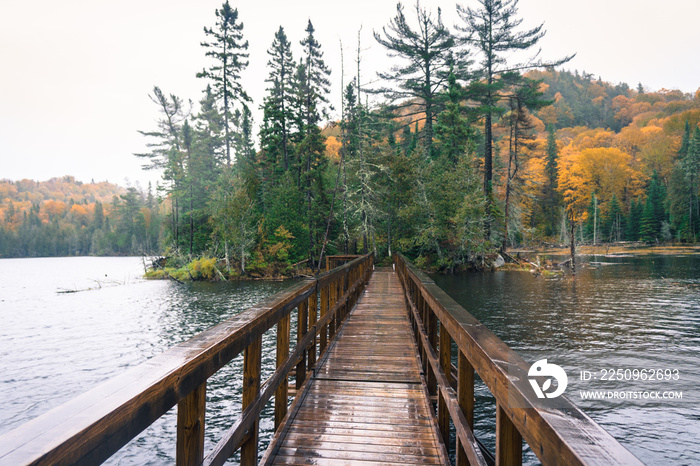 Trappers trail in Lake Superior Provincial Park, Ontario on a rainy day