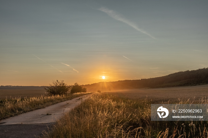 Sonnenuntergang am Getreidefeld 2