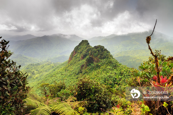 Beautiful panoramic view over the hills in the jungle of the El Yunque national forest in Puerto Ric