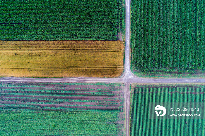 Top view of agricultural parcels