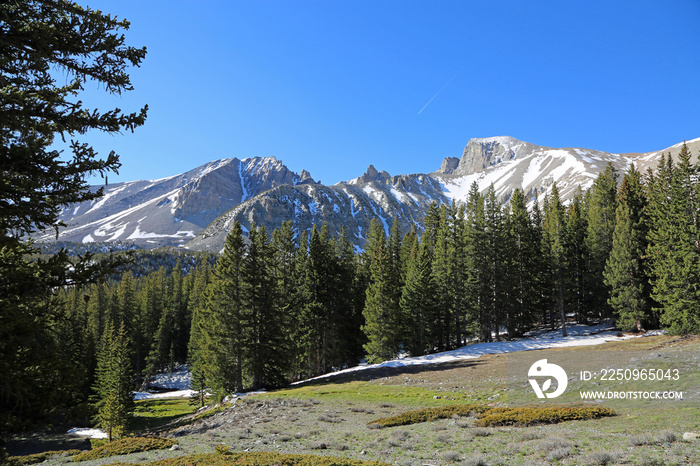 Idyllic landscape in Great Basin National Park, Nevada