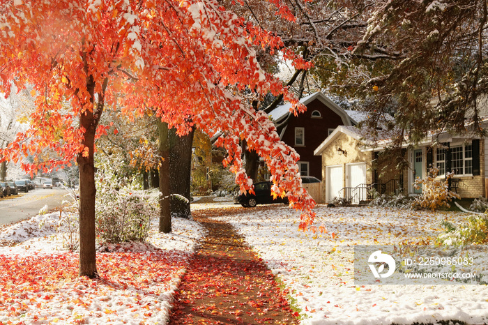 Early snow background, climate changing concept. Scenic morning landscape with autumn bright color t