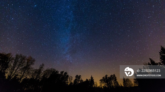 森林上空星罗棋布的夜空。自然夜景。