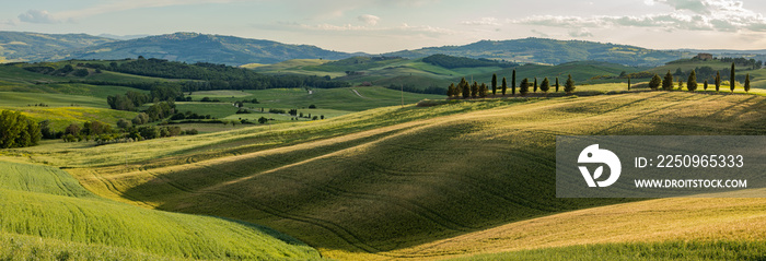 托斯卡纳-风景全景，山丘和草地，托斯卡纳-意大利