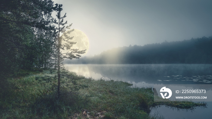 雾中夜晚神秘森林湖上的满月