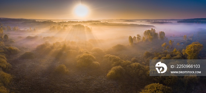 Foggy morning aerial landscape. Forest and meadow at sunrise.