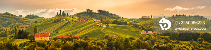 South styria vineyards landscape, near Gamlitz, Austria, Eckberg, Europe. Grape hills view from wine