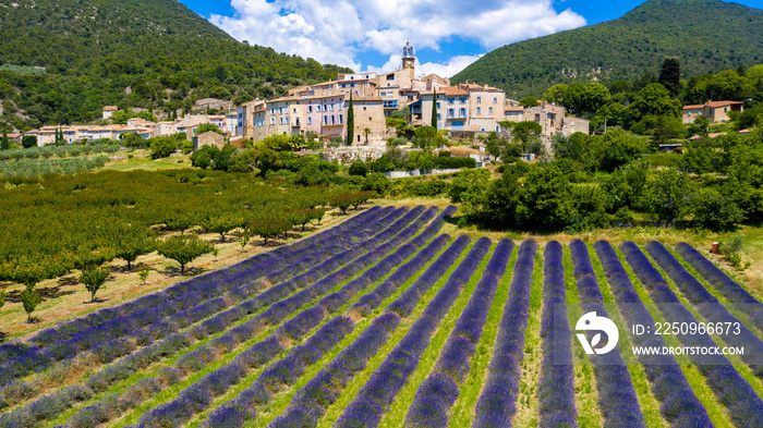 Provence in France, lavender field and village of Grigan