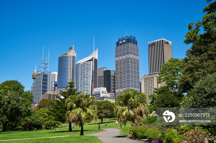 The Royal Botanic Garden Sydney.