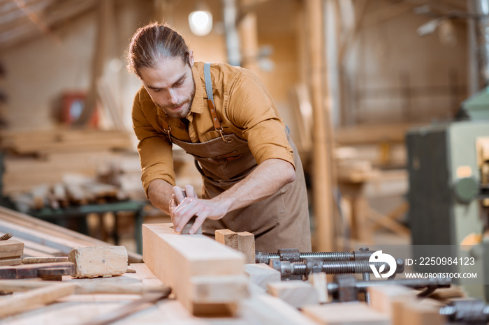 Carpenter working with a wood in the workshop