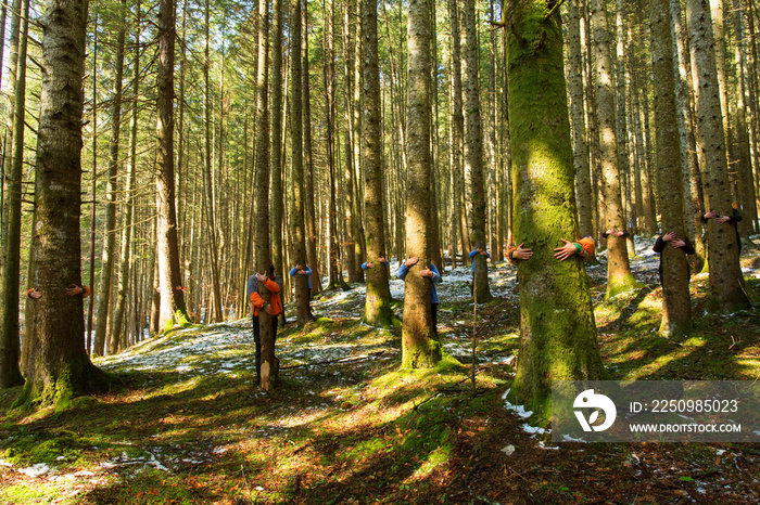 More people embracing trees in forest