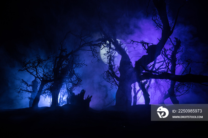 Spooky dark landscape showing silhouettes of trees in the swamp on misty night. Night mysterious lan