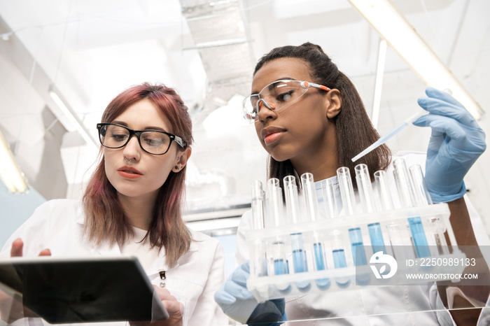 low angle view of scientists working together with reagents in laboratory