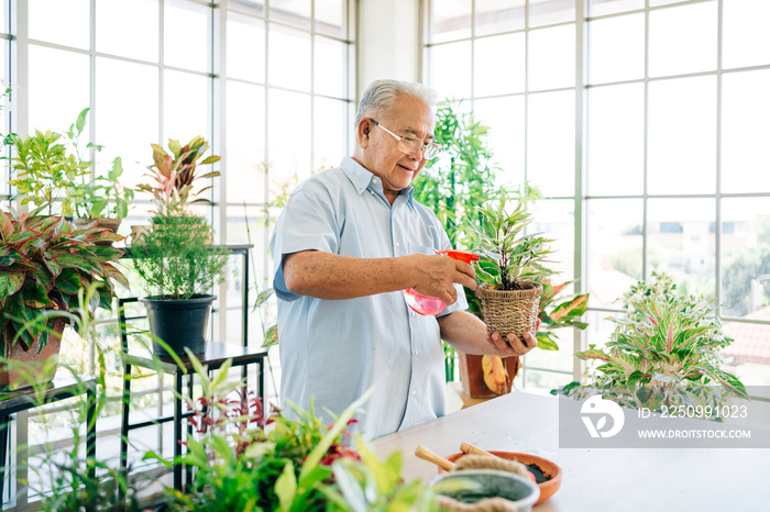 亚洲男性退休老人喜欢给有雾的植物喷水来照顾植物