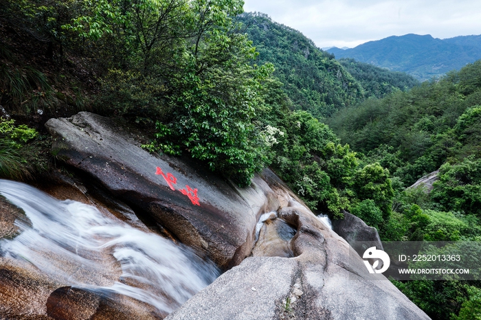 绩溪县龙川芦笋山