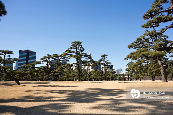 东京街景