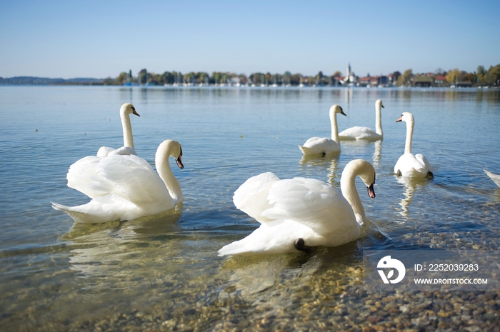 德国慕尼黑周边基姆湖(Chiemsee)