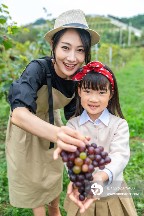 快乐母女在果园采摘葡萄