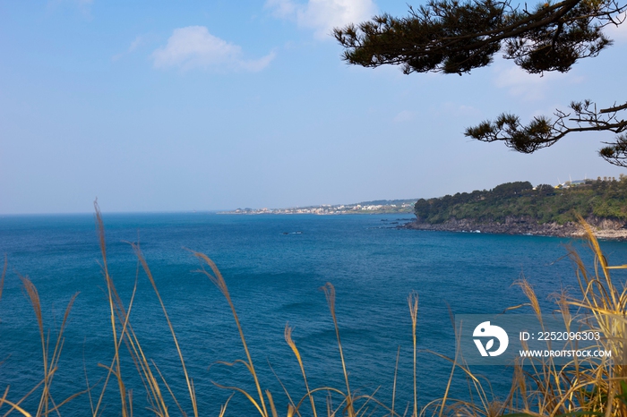 韩国济州岛独立岩