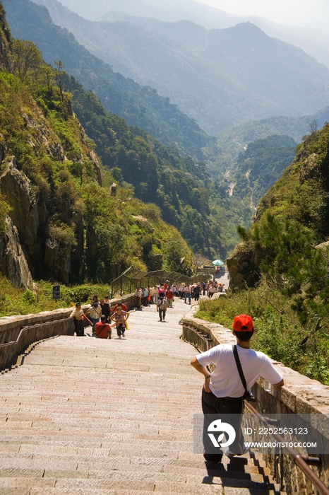 山东泰山