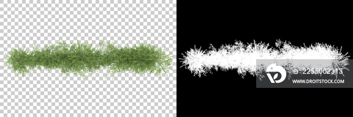 绿草如茵的背景图。3D渲染。对商业ba很有用