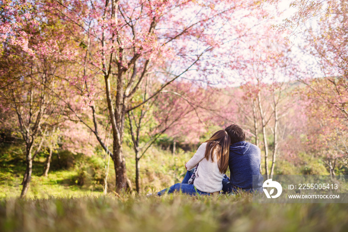 年轻夫妇在公园里散步，看着樱花树