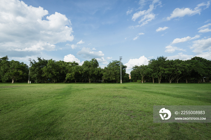 landscape of grass field and green environment public park use as natural background,backdrop