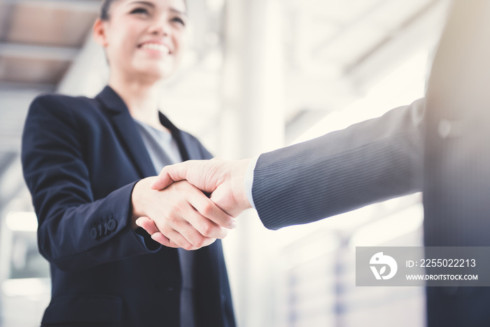 Businesswoman making handshake with a businessman