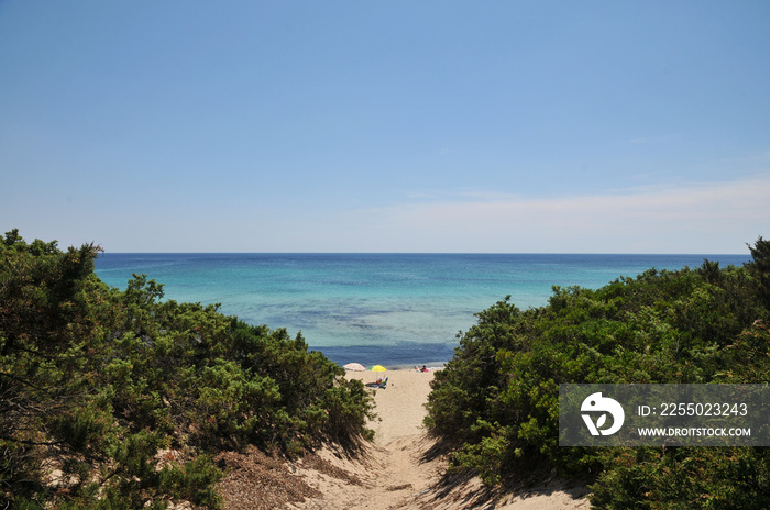 Le spiagge del Salento, Punta Prosciutto - Puglia