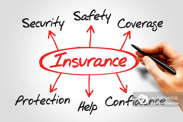 Insurance Diagram, Protection Coverage And Security
