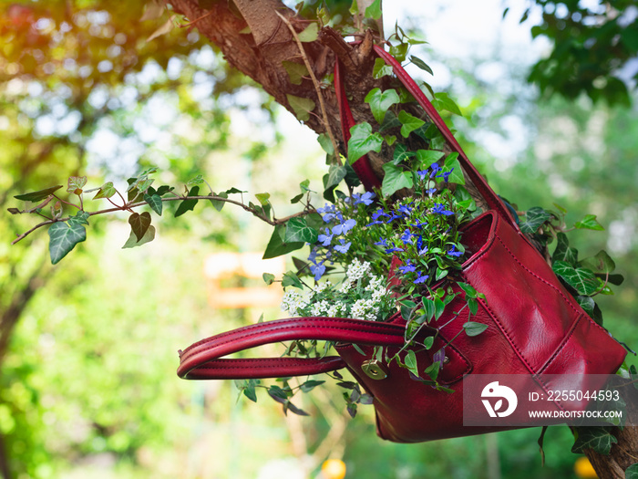 挂在花园里的旧回收和上循环袋子里长出的花。可持续园艺公司