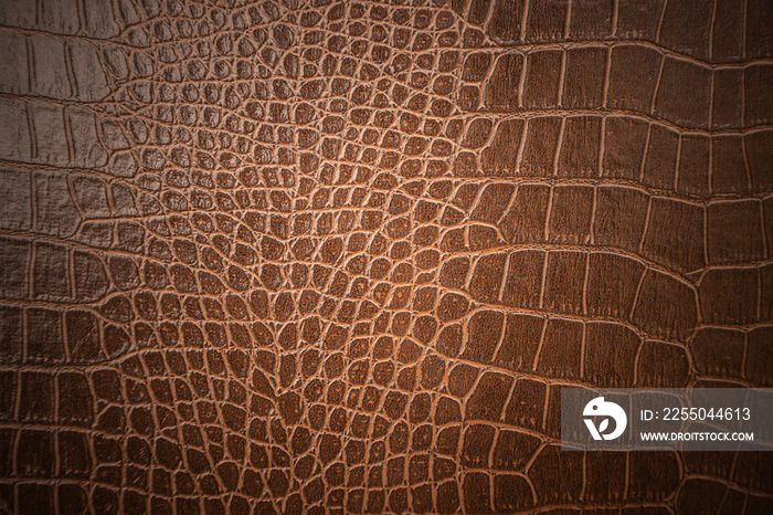 Brown skin leather texture