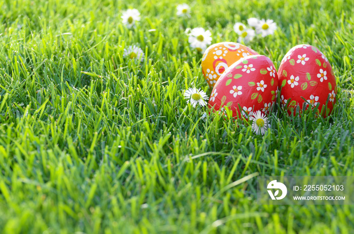 Easter eggs lying on green spring grass along with Bellis flowers. Space for text