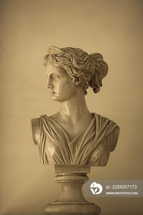 Bust of Artemis