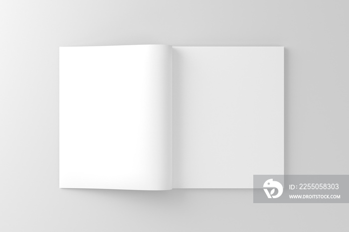 Blank Magazine / Book / Catalog / Brochure