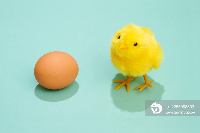 Cute fluffy yellow Easter chick with hens egg