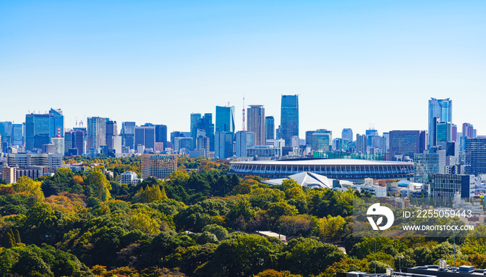 新国立競技場　国立競技場　風景　日本　東京　オリンピック　スタジアム　都市風景　快晴　青空　鳥瞰図