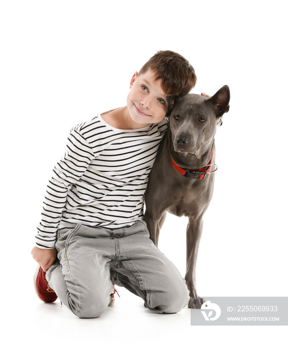 Little boy with cute dog on white background