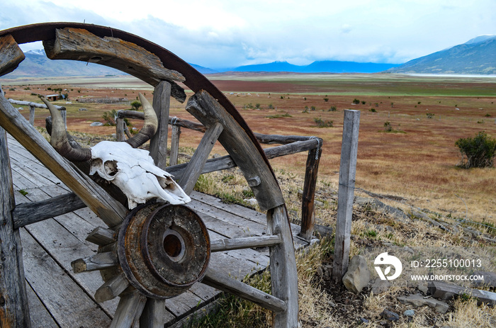 Old wagon wheel and sheep skull at Estancia ranch outpost in Patagonia, Argentina