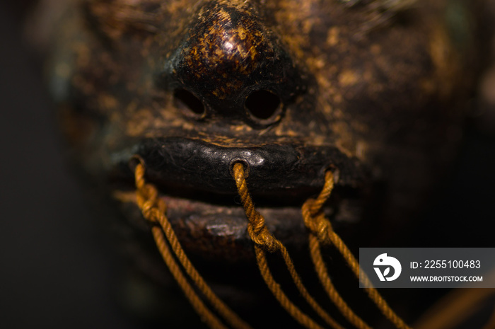 Close up of the mouth of a shrunked human head from ecuador over a dark background