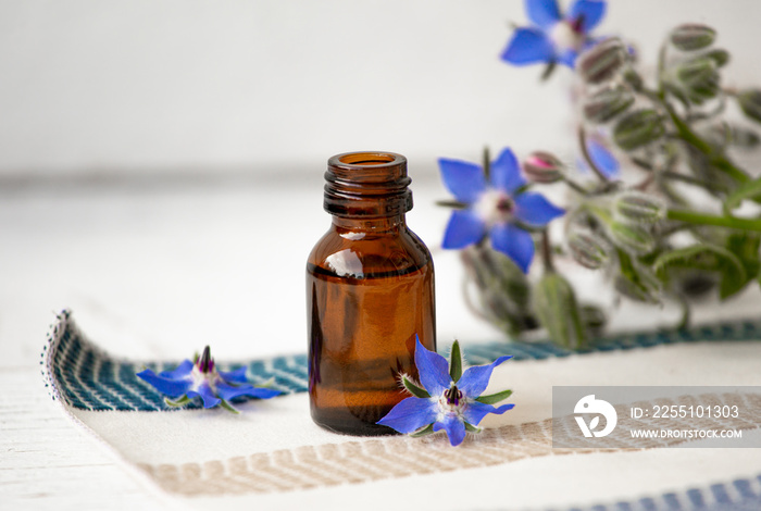 Borago officinalis (Borago or borage) oil bottle with fresh blossoms scattered around. Herbal medicine concept. Copy space.