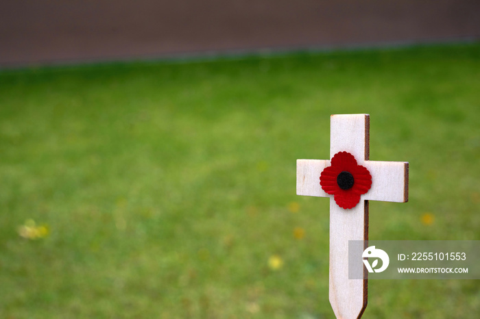 Red puppy flower placed on the small wooden cross in the green grass. Poppy remembrance day cross in a field