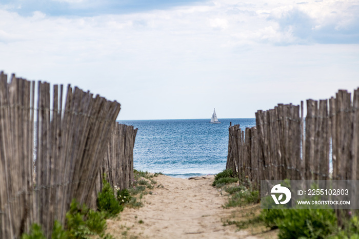 Vue sur la plage et les dunes sauvages de Carnon-Plage (Occitanie, Hérault)