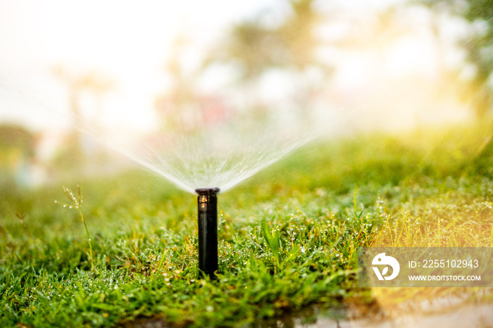 Close up details of automatic grass, lawn pop-up sprinkler