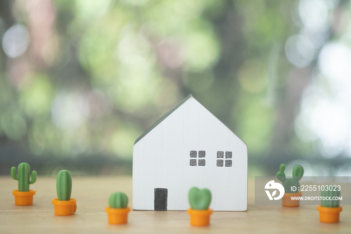 Wooden mini house toy with mini cactus plant pot on wooden table.