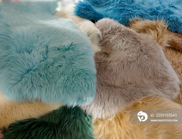 Lambskins, furs in trendy colorful colors, close-up, background and texture of an animal fur