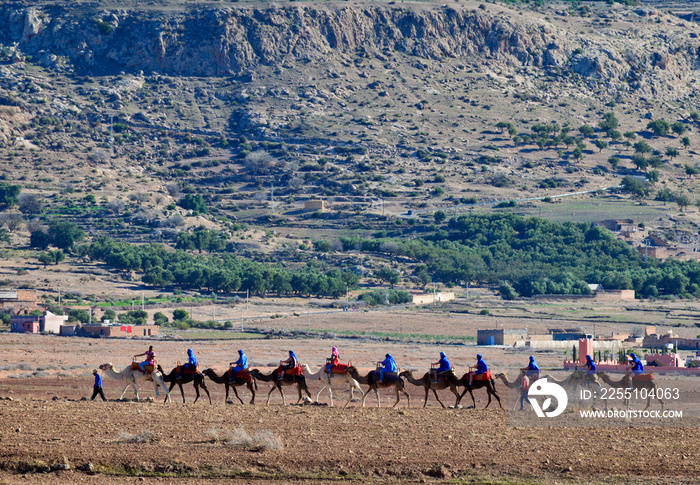 Convoy of tourists on camles led by berber in Agafay desert with mountains in the background